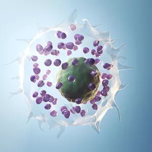 Ilustrační obrázek