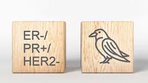 Ilustrační obrázek