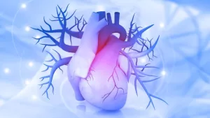 Ilustrační obrázek