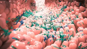 Ilustrační obrázek