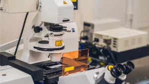 Ilustrační obrázek