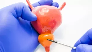 Ilustrační obrázek