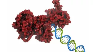 Ilustrační obrázek