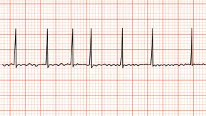 Ilustrační obrázek