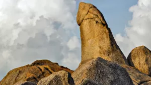 Ilustrační obrázek