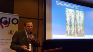 Ilustrační obrázek