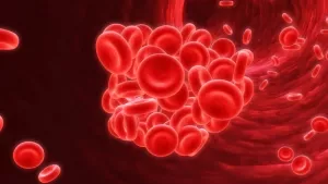 Ilustrační obrázek