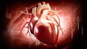 Ilustrační obrázek