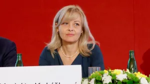 Ilustrační obrázek