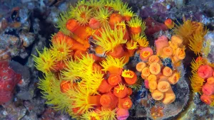 Ilustrační obrázek