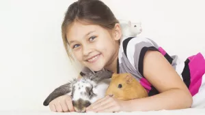 Ilustrační obrázek