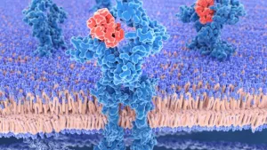 Ilustrační obrázek