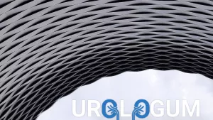 Ilustrační obrázek