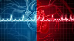 Ilustrační obrázek