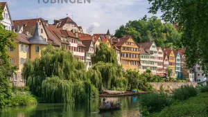 Ilustrační obrázek