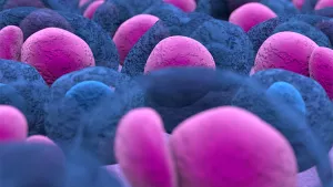 Ilustrační obrázek