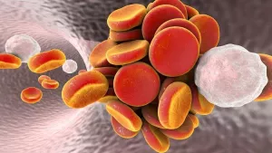 Ilustrační obrázek