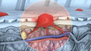 Ilustrační obrázek