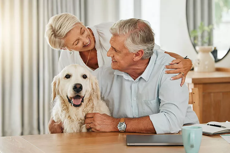 Ilustrační obrázek