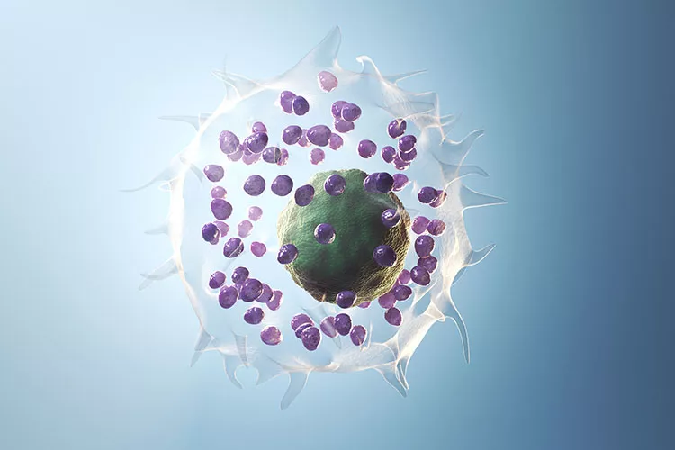 Ilustrační obrázek