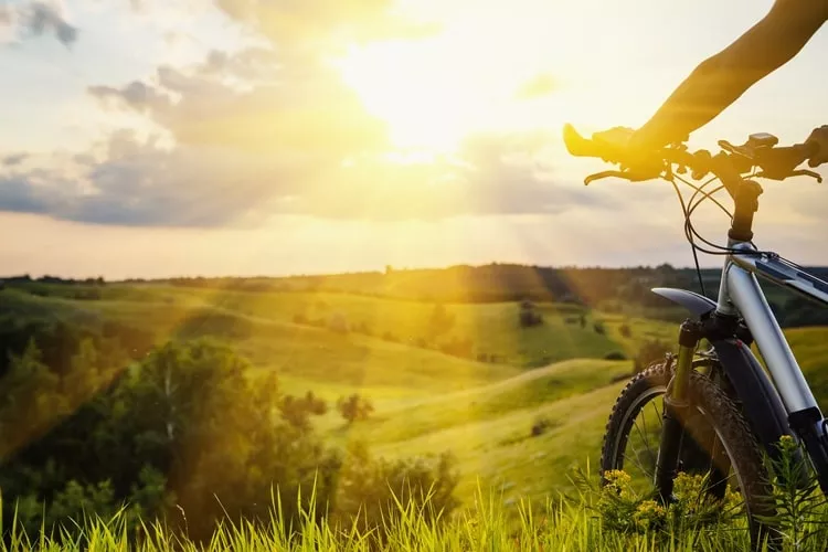 Ilustrační obrázek