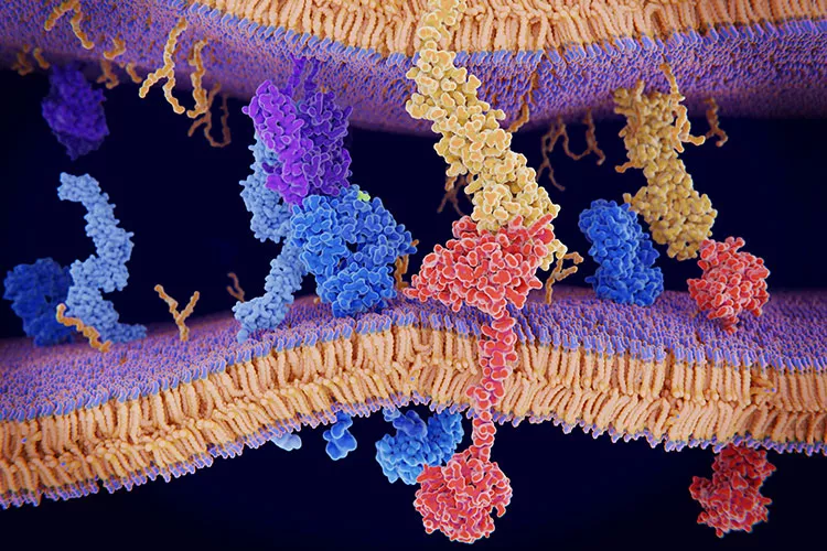  Ilustrační obrázek