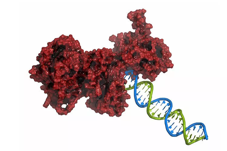 Ilustrační obrázek