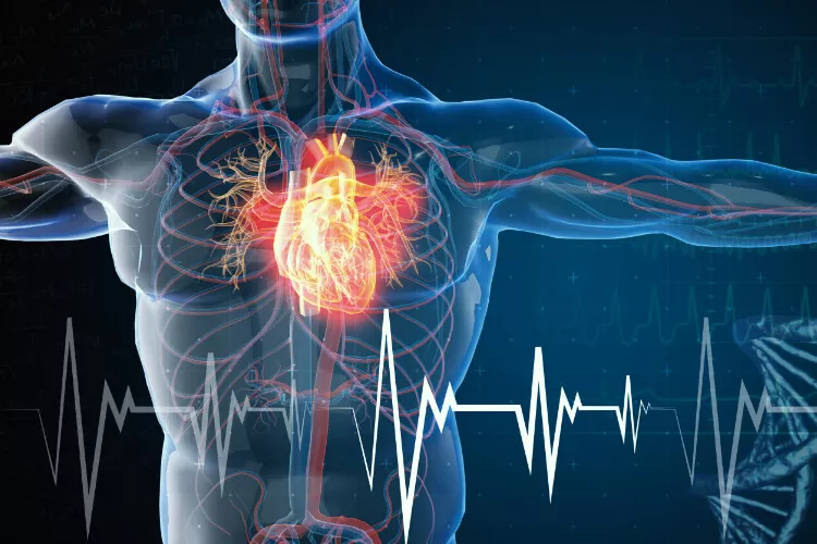 Ilustrační obrázek