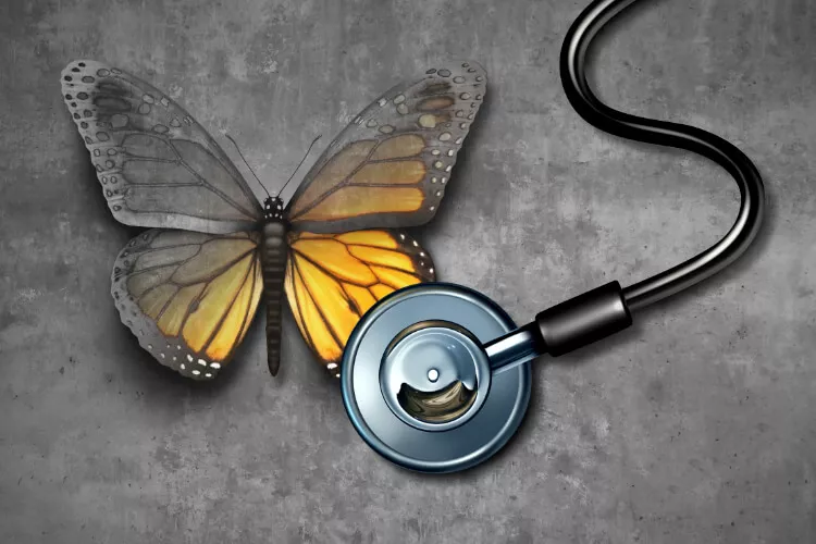 Ilustrační obrázek