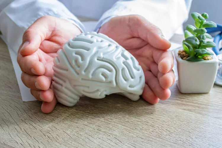 Ilustrační obrázek