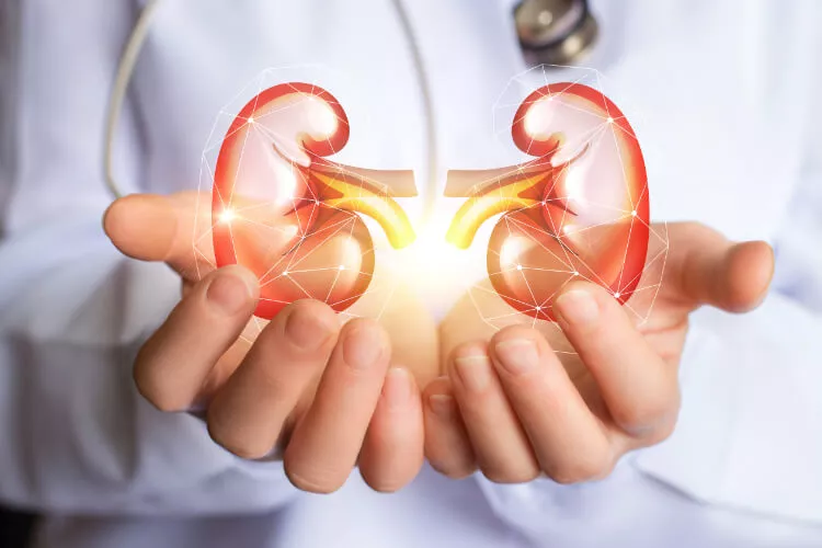 Ilustrační obrázek