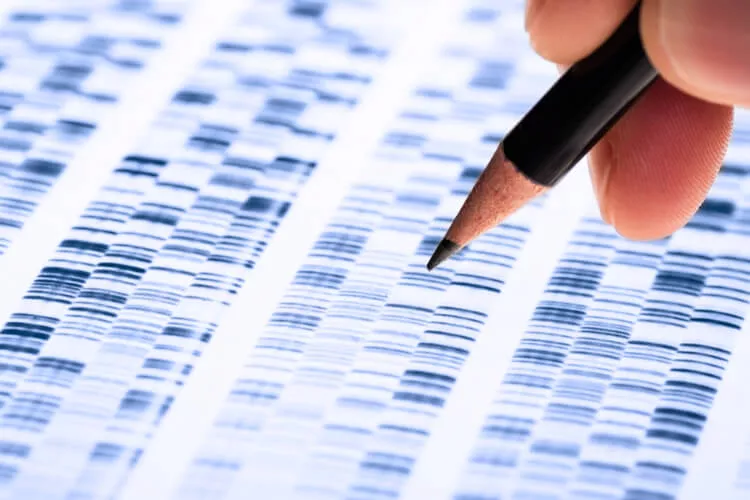 Ilustrační obrázek