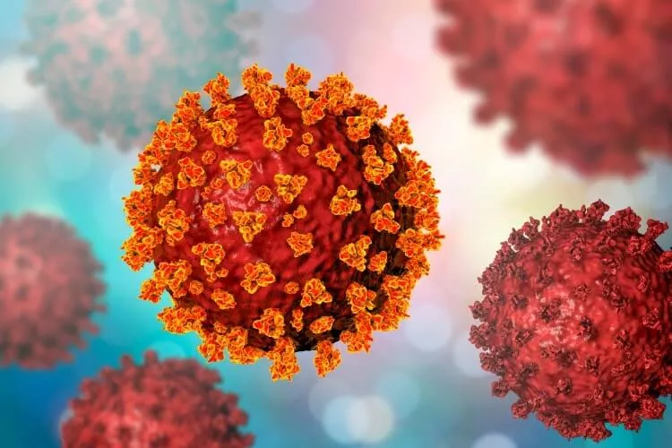 Ilustrační obrázek