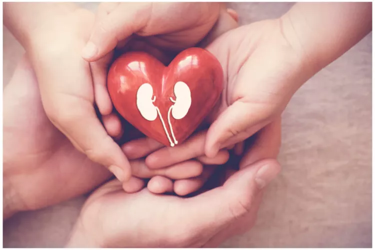 Ilustrační obrázek