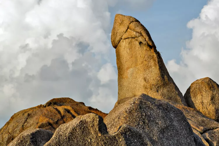 Ilustrační obrázek