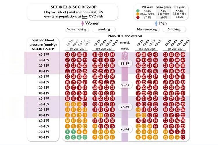Ilustrační obrázek