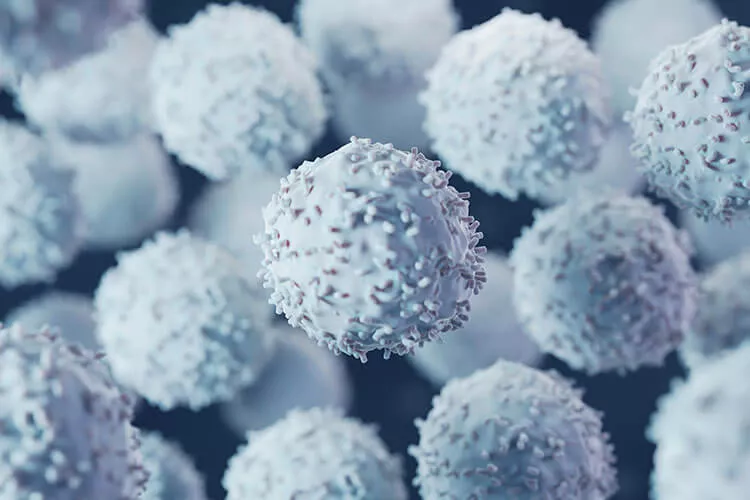 Ilustrační obrázek