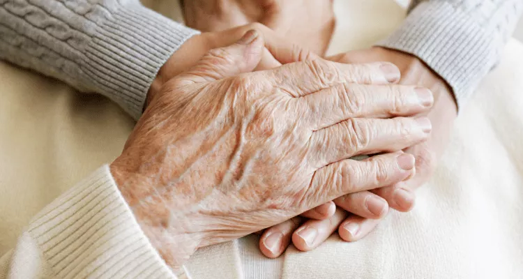 Ilustrační obrázek