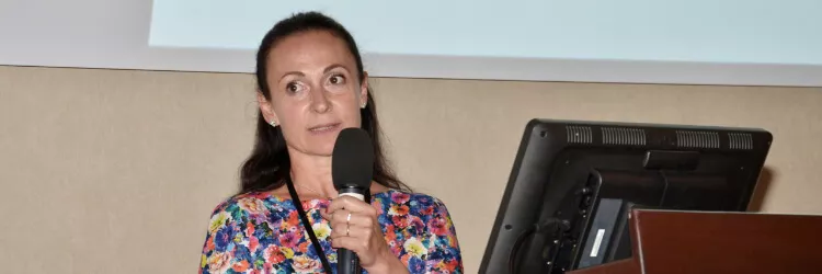 Ilustrační obrázek