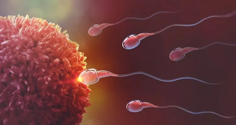 Ilustrační obrázek