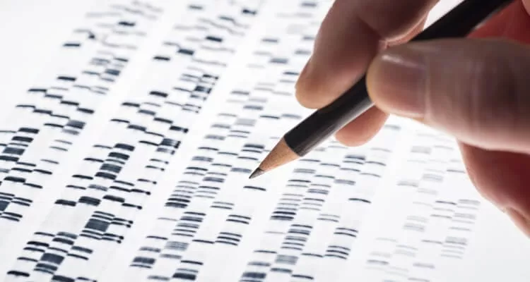 Ilustrační obrázek