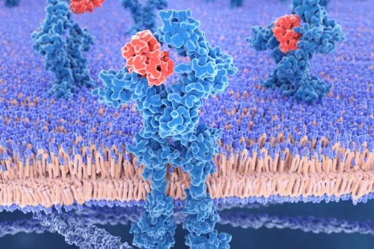 Ilustrační obrázek