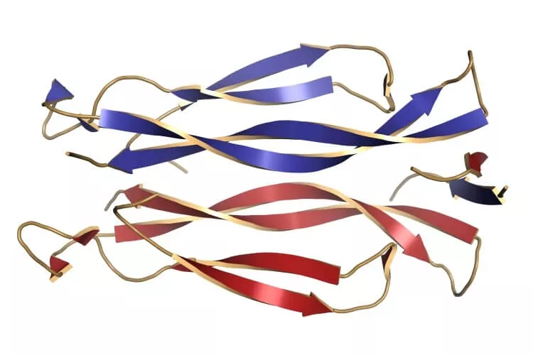 Ilustrační obrázek