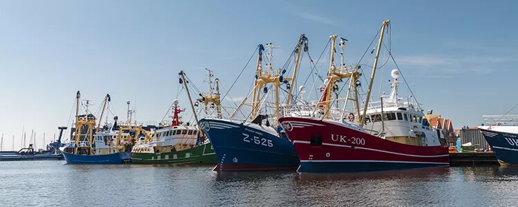 Ilustrační obrázek