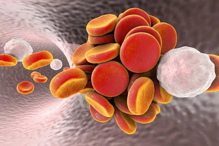 Ilustrační obrázek