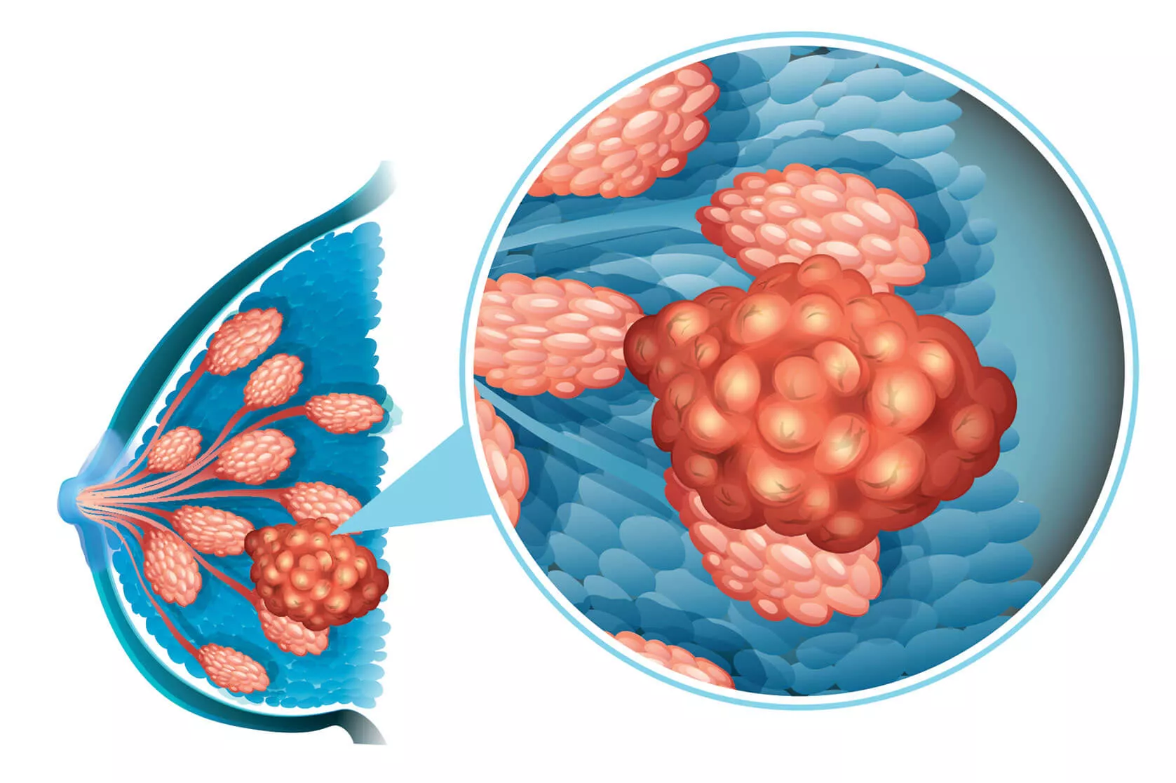 Ilustrační obrázek