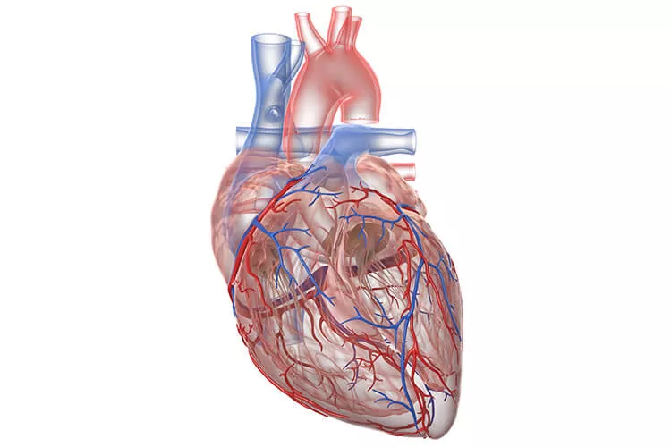 Ilustrační obrázek